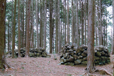 �V�ؘT����i�F��s�j